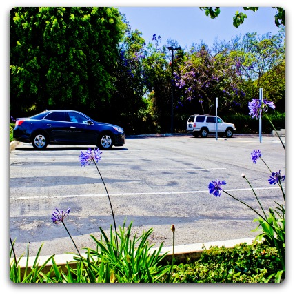 Oceanside Sleep Center Parking Lot